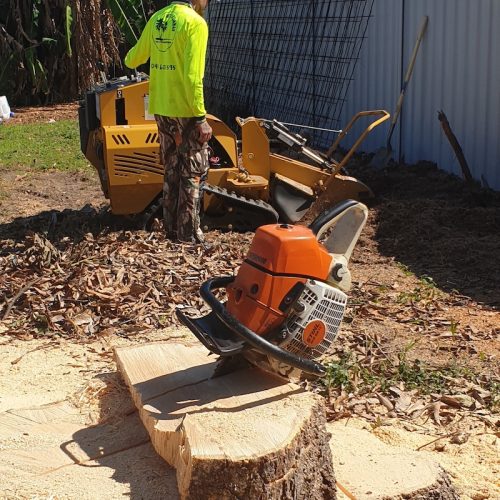 Projects Affordable Palm and Tree Management